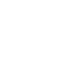 feature-item-1